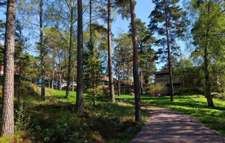 Rantapuisto