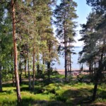 Terrace_Hotel Rantapuisto