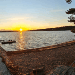 Artikkelikuva, nettisivu (12)